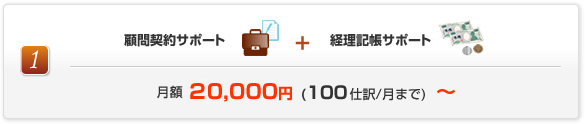 顧問契約サポート+経理記帳サポート 月額21000円(100仕訳/月まで)~